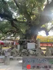 宇美八幡宮(福岡県)