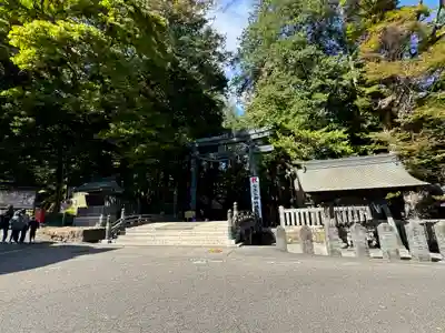 諏訪大社(長野県)