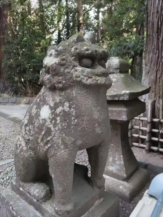大崎八幡宮の狛犬