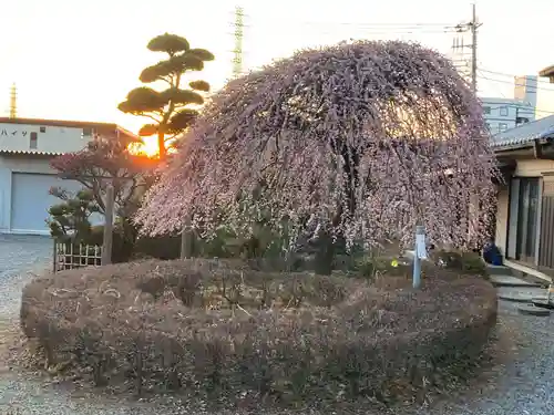 朝日森天満宮の庭園