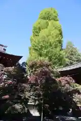 長圓寺(長野県)