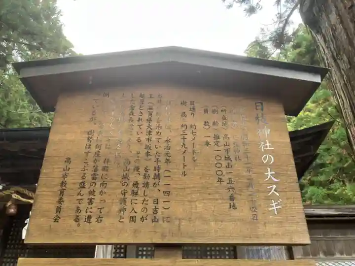 日枝神社(岐阜県)