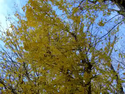 正円寺(山口県)