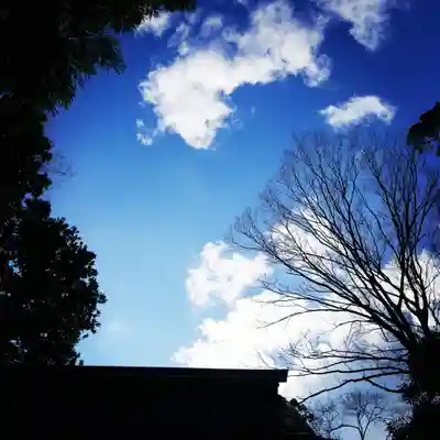 大生神社の自然