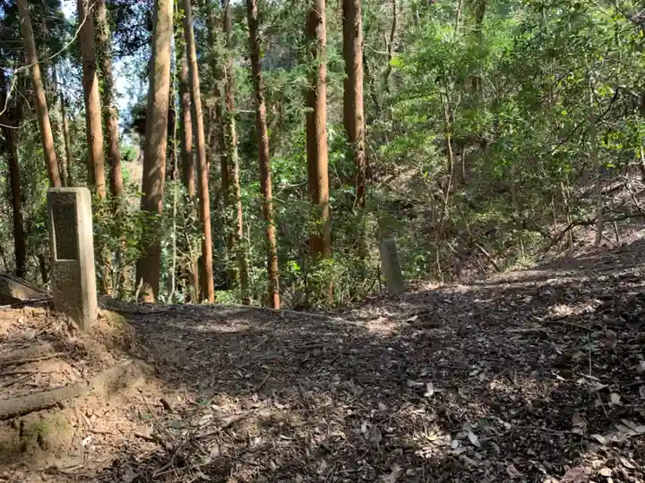 浅間神社の自然