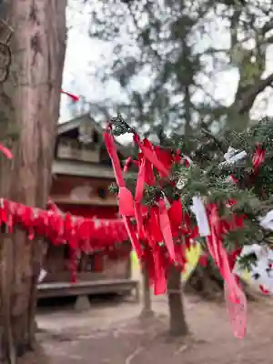 卯子酉神社(岩手県)
