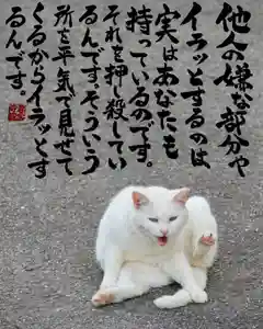 専念寺(大阪府)(2022年05月28日(土) 20時51分53秒投稿)