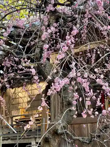 若狭野天満神社のその他建物