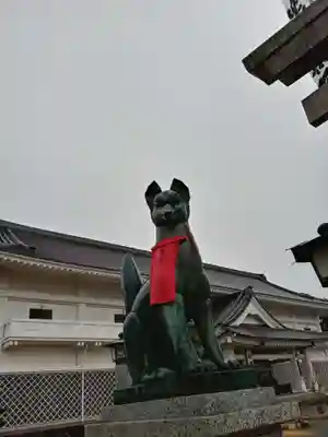 豊川閣　妙厳寺の狛犬