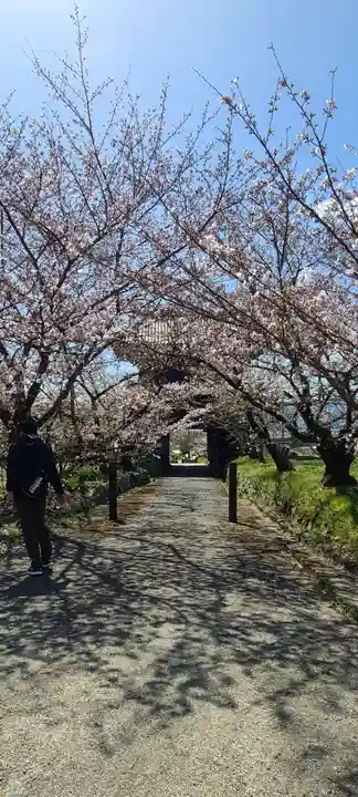 熊谷寺(徳島県)