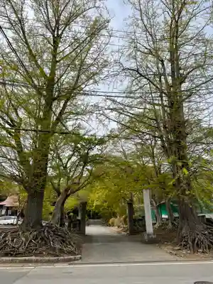泉渓寺の山門・神門
