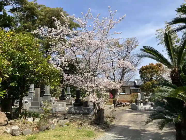 本行寺(神奈川県)
