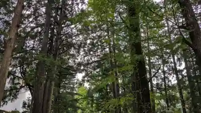 白山神社の自然