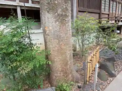 行田八幡神社の{uncategorized: "未分類", other: "その他", undefined: "問題あり", building: "その他建物", grave: "お墓", sacred_gate: "鳥居", guardian: "狛犬", statue: "像", buddha: "仏像", history: "歴史", nature: "自然", garden: "庭園", animal: "動物", pagoda: "塔", temizu: "手水舎", mountain_gate: "山門・神門", sanctuary: "本殿・本堂", subordinate: "末社・摂社", art: "芸術", scenery: "景色", jizo: "地蔵", ema: "絵馬", goshuin: "御朱印", omikuji: "おみくじ", items: "授与品その他", amulet: "お守り", goshuincho: "御朱印帳", eats: "食事", festival: "お祭り", votive_dance: "神楽", shichigosan: "七五三参", wedding: "結婚式", experience: "体験その他", initially: "初詣", around: "周辺", anti_infection: "感染症対策"}