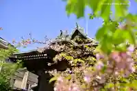 桜神宮のその他建物