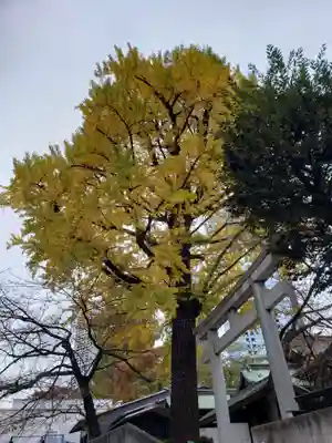 熊野神社(東京都)