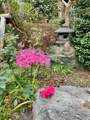 福傳寺(東京都)