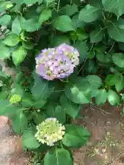 大生郷天満宮の自然