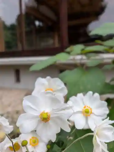 鳩森八幡神社(東京都)