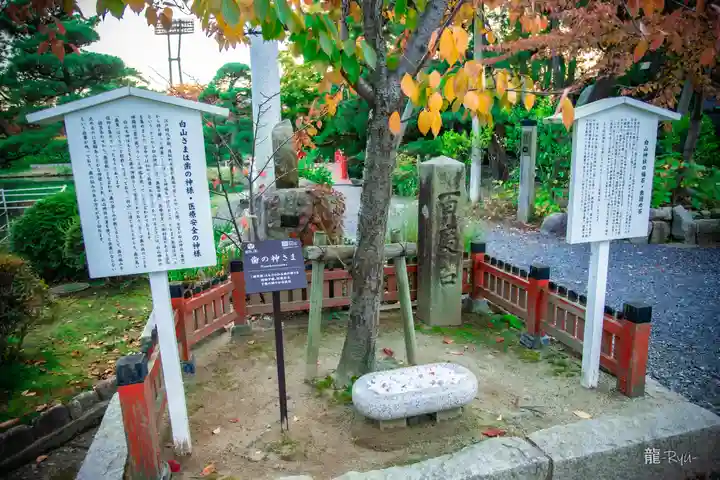 白山神社(新潟県)