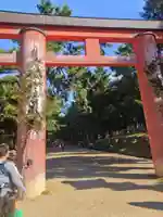 春日大社(奈良県)