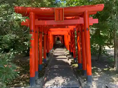 伊曽島神社の鳥居
