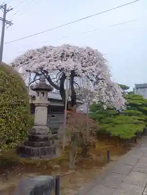 寛立院（曼陀羅寺塔頭）(愛知県)
