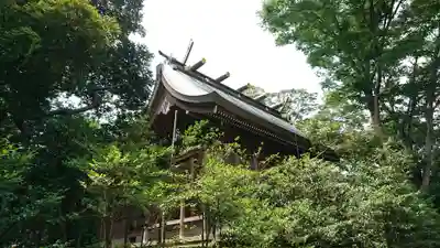 相模国総社六所神社の本殿・本堂