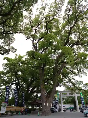 加藤神社の自然