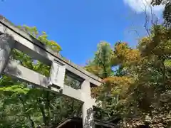 彌彦神社　(伊夜日子神社)の鳥居