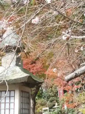 鹿島大神宮のその他建物