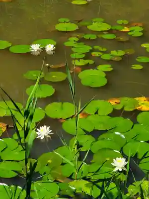 陽林寺(福島県)