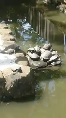 石切劔箭神社(大阪府)