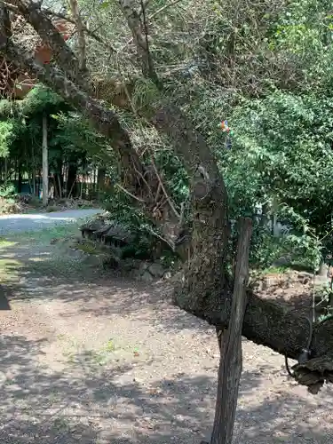 菅原神社の庭園