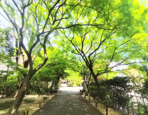 高円寺(東京都)
