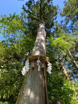 高鴨神社(奈良県)