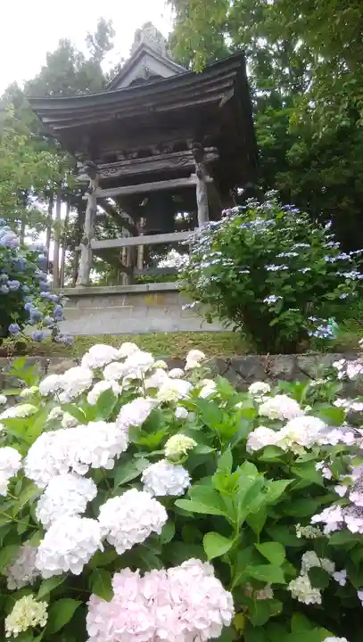 有珠善光寺の自然