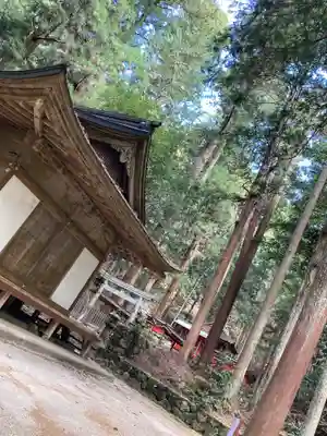 室生龍穴神社の本殿・本堂
