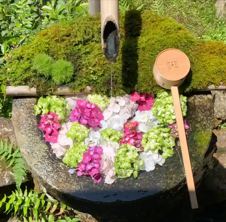 柳谷観音 楊谷寺の手水舎