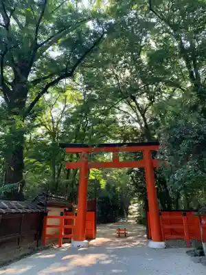 河合神社(鴨川合坐小社宅神社)の鳥居