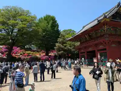 根津神社(東京都)
