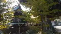 埴生神社の建物その他