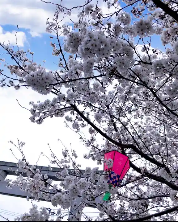 瀧宮神社(広島県)
