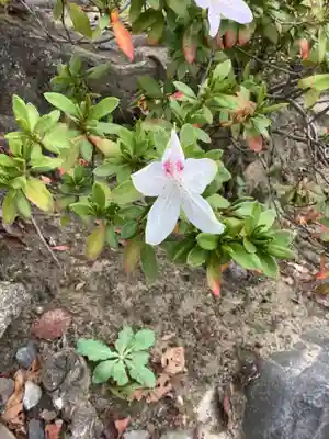 瀬辺了泉寺(愛知県)