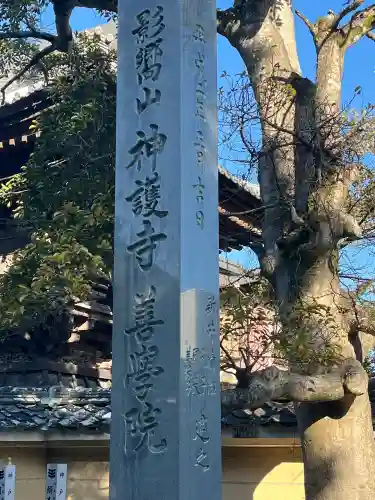 神護寺善学院の{uncategorized: "未分類", other: "その他", undefined: "問題あり", building: "その他建物", grave: "お墓", sacred_gate: "鳥居", guardian: "狛犬", statue: "像", buddha: "仏像", history: "歴史", nature: "自然", garden: "庭園", animal: "動物", pagoda: "塔", temizu: "手水舎", mountain_gate: "山門・神門", sanctuary: "本殿・本堂", subordinate: "末社・摂社", art: "芸術", scenery: "景色", jizo: "地蔵", ema: "絵馬", goshuin: "御朱印", omikuji: "おみくじ", items: "授与品その他", amulet: "お守り", goshuincho: "御朱印帳", eats: "食事", festival: "お祭り", votive_dance: "神楽", shichigosan: "七五三参", wedding: "結婚式", experience: "体験その他", initially: "初詣", around: "周辺", anti_infection: "感染症対策"}