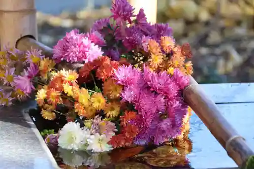 高司神社〜むすびの神の鎮まる社〜の手水舎