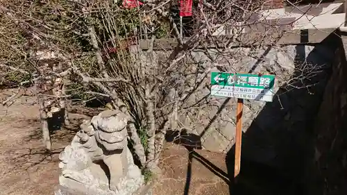 元三大師安楽寺の狛犬