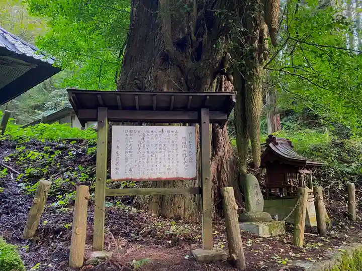 由豆佐賣神社の歴史