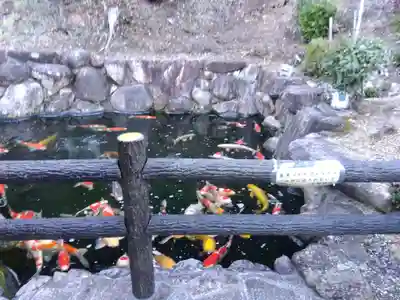 大野神社(滋賀県)