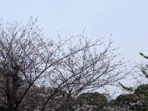 千鳥ヶ淵戦没者墓苑(東京都)